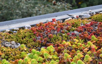 the cost of Carters Clay green roof installation