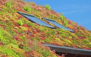 Carters Clay living roof systems