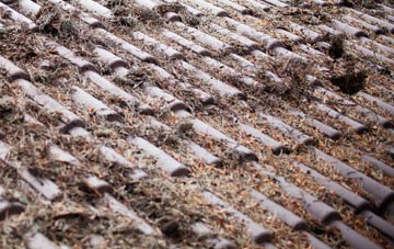 Carters Clay roof cleaning companies