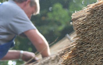 professional Carters Clay thatchers