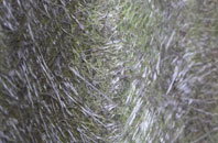 Carters Clay fibreglass roof work